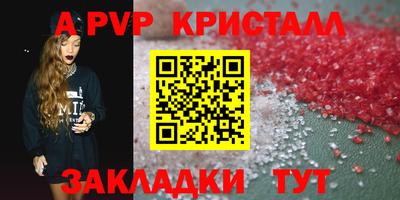 спиды Новодвинск