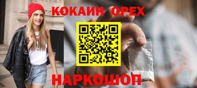 дмт Новозыбков