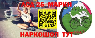 спиды Новодвинск