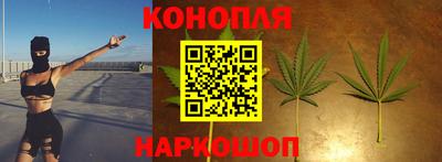 спиды Новодвинск
