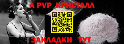 спиды Новодвинск