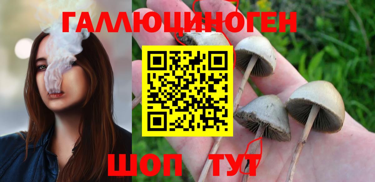купить наркоту  Псилоцибиновые грибы Psilocybine cubensis  Вход с VPN  Красноперекопск 